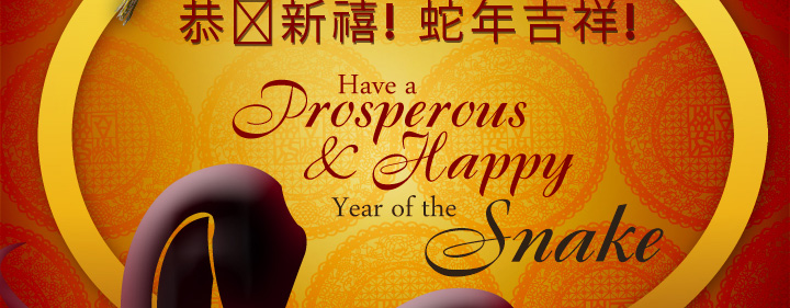 2013: Happy Year of the Snake